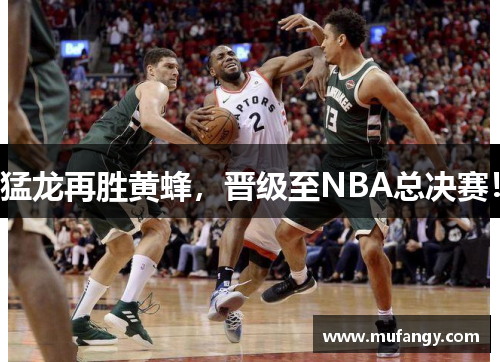 猛龙再胜黄蜂，晋级至NBA总决赛！